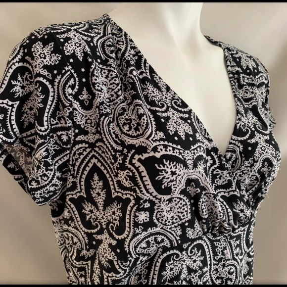 🐾Chaps🐱 - Picture 2 of 3